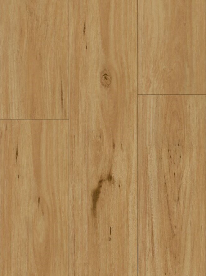 Hybrid Flooring Blackbutt Colour